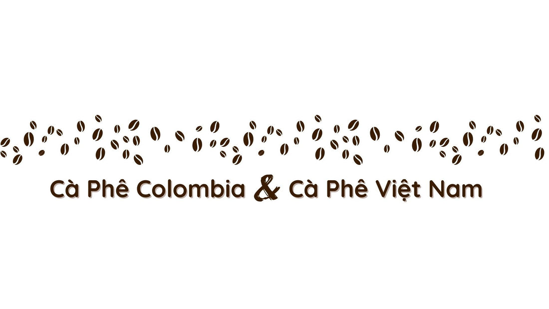 Cà phê Colombia so với cà phê Việt Nam